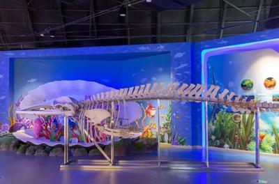 日照海洋科普館盛大開(kāi)幕 生物科技與海洋探索的新篇章