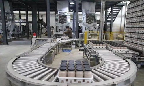 科技賦能農業新篇章 西南最大食用菌工廠化項目在萬盛投產，引領生物科技新突破